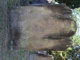 image of grave number 816668